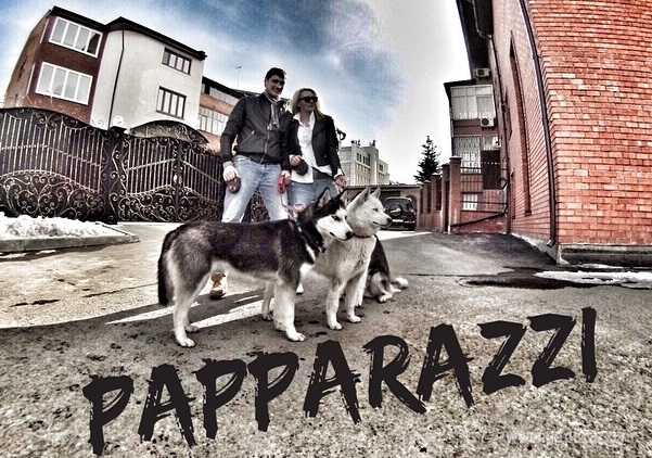 : paparazzi.ru