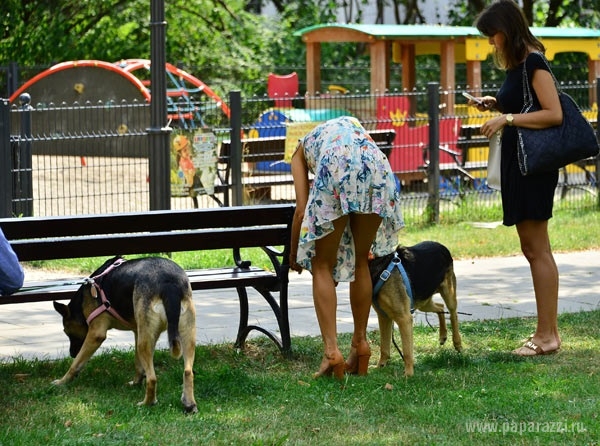 Собачки поставили в неудобное положение Джоанну Крупу