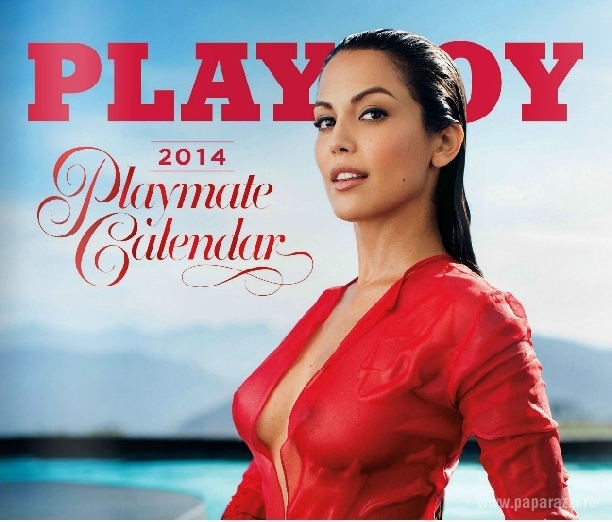 Американский Playboy выпустил новый календарь на 2014 год