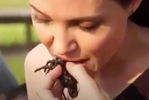 Анджелина Джоли съела паука и накормила тарантулами детей