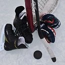 Звезды шоу бизнеса