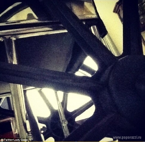 Певица Леди Гага купила инвалидную коляску из золота