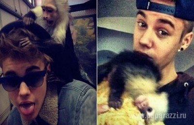 У Джастина Бибера отняли любимую обезьянку