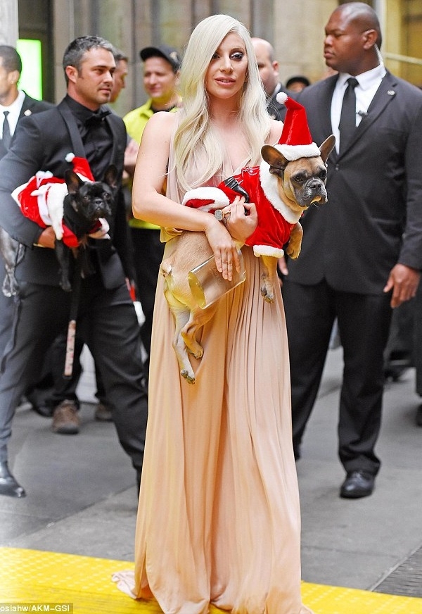 Леди Гага привела на светское мероприятие родителей, бабушку, мужа и собаку
