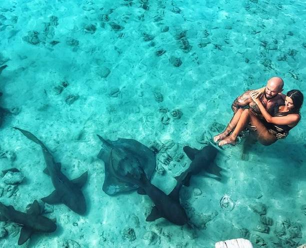 Оксана Самойлова и Джиган оказались окружены акулами