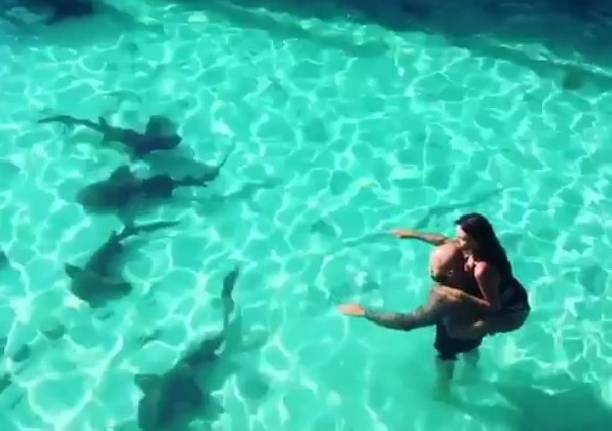 Оксана Самойлова и Джиган оказались окружены акулами
