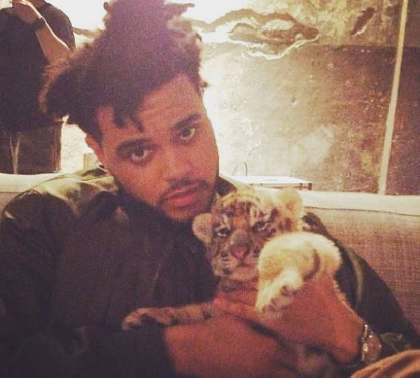 The Weeknd был замечен в компании экс-возлюбленной Джастина Бибера