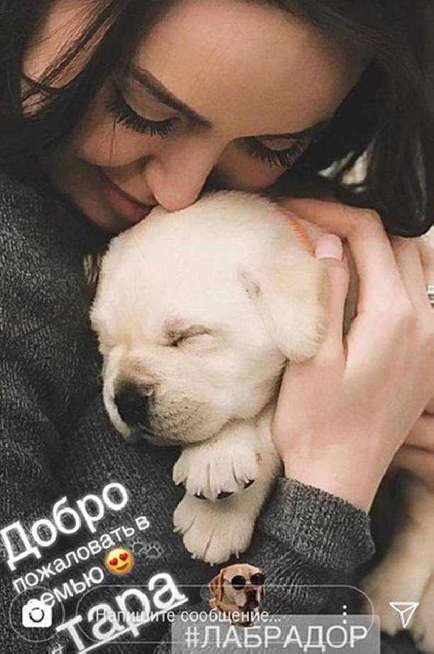 Ольга Бузова не удержалась и прокомментировала появление собаки в новой семье Дмитрия Тарасова
