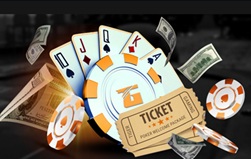 TigerGaming: что нужно знать новичку о покер-руме