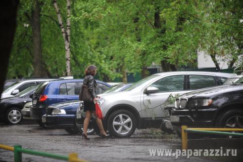 Ветка Амура для Дайнеко Ветка Амура для Дайнеко