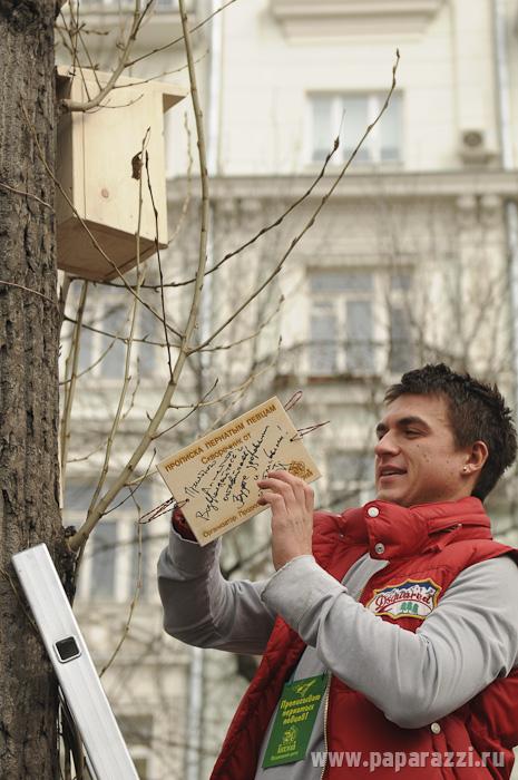 Звезды вешали скворечники для дятлов. Всмысле для скворцов