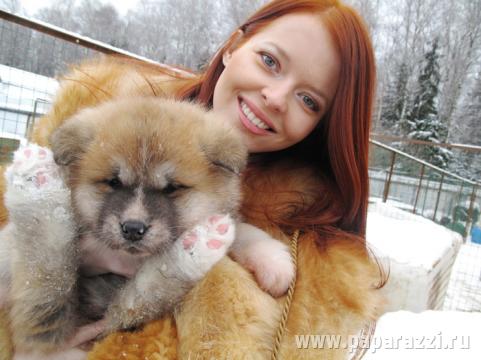 Лена Князева запрягла собак