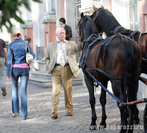 Якубович пожалел лошадей