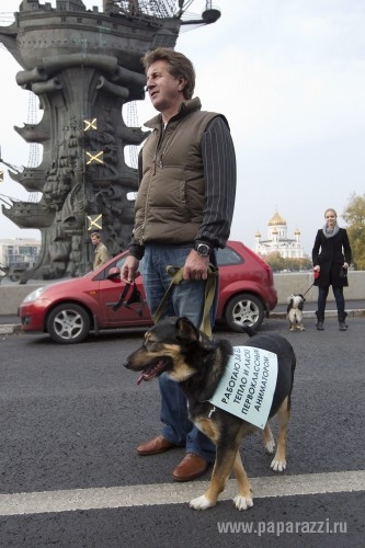 Протестный день Андрея Макаревича