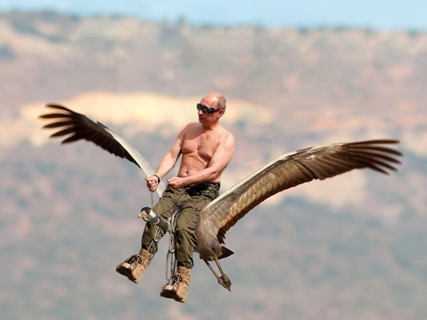 Над Америкой пронеслась стая птиц, которая собралась в лицо Путина