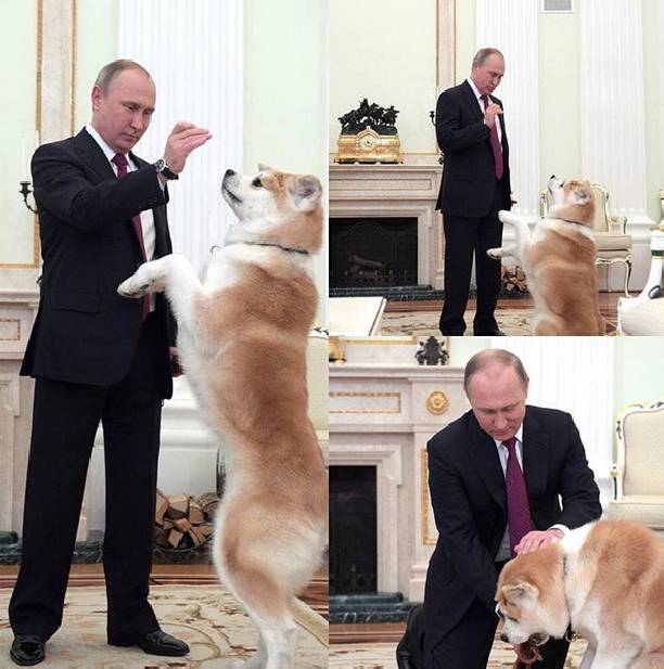 Владимир Путин покормил своего друга с руки
