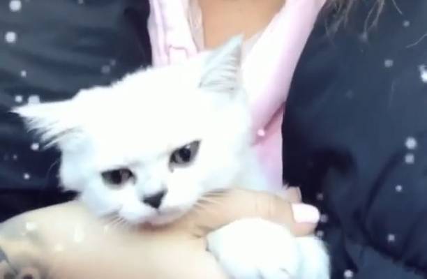 Марина Мексика объявила, что у нее есть дочь