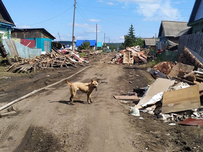 Ксения Бородина обратила внимание подписчиков на трагедию в Иркутской области