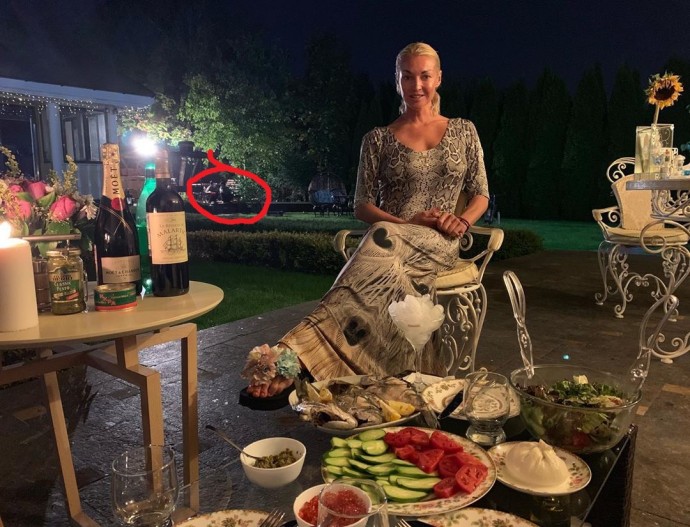 Выпив вина и шампанского, Анастасия Волочкову вновь потянуло на обнаженку