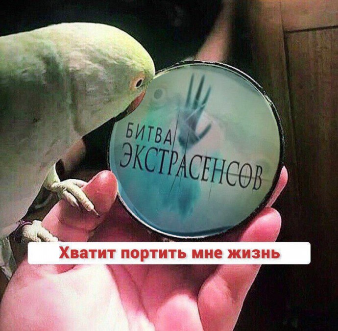 Участники Дом 2 и Битвы экстрасенсов обвинили невиновного мужчину в грабежах и убийствах Участники Дом 2 и Битвы экстрасенсов обвинили невиновного мужчину в грабежах и убийствах