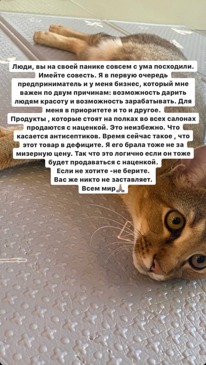 "Время сейчас такое": Анастасию Решетову обвинили в спекуляции