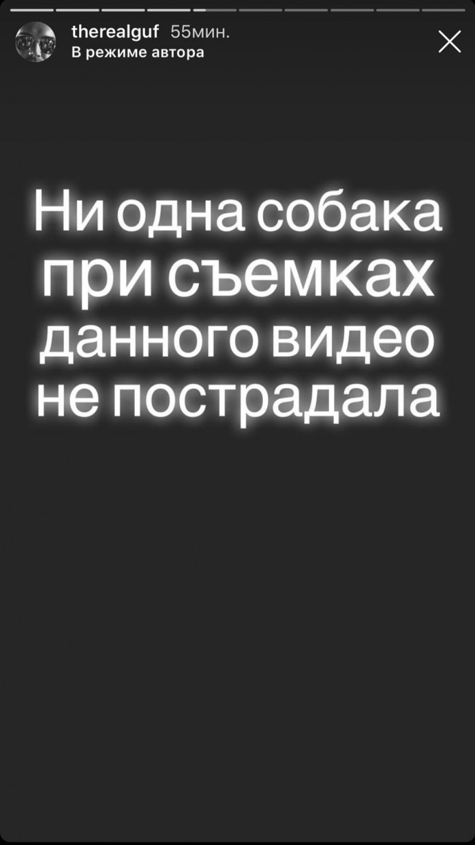 "Собака не пострадала": Гуф отказался извиняться за свою выходку