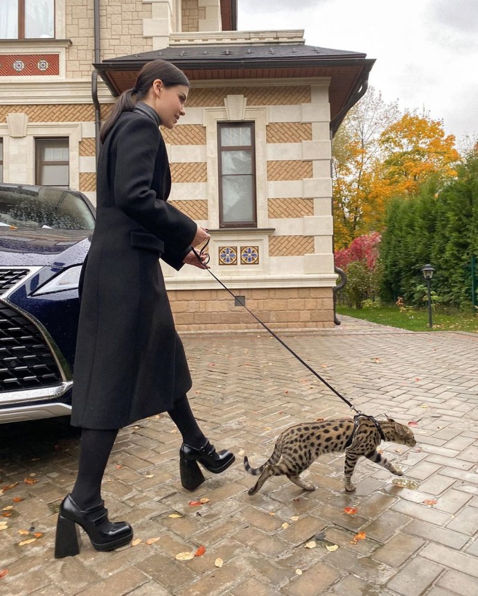 Елена Темникова отправилась на прогулку с котом стоимостью более миллиона рублей