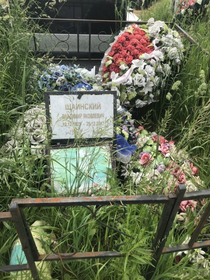 У детей Владимира Шаинского нет денег на уход за его могилой