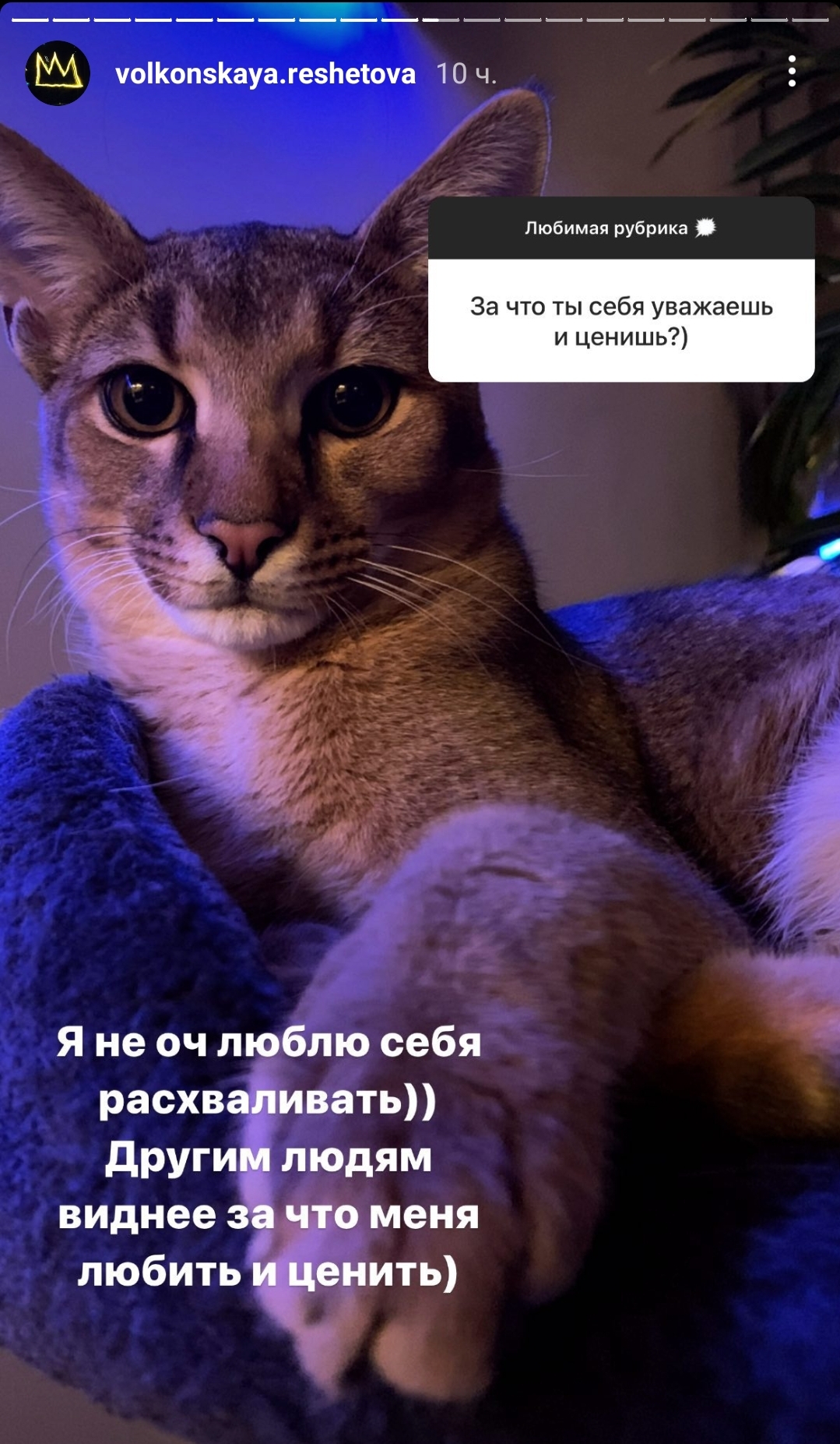 "Выйти в окно": Анастасия Решетова отреагировала на вопрос о новых отношениях бывшего мужа