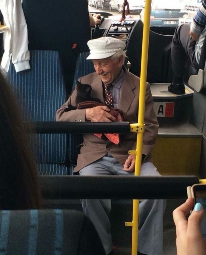 "Главное в жизни - найти человека, который будет смотреть на Вас так же, как эти котики на людей": 10 трогательных фотографий