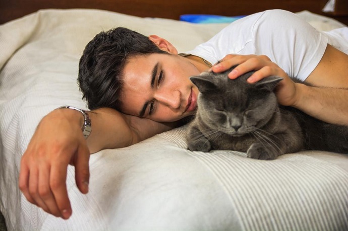 Фото с котом повышает шансы познакомиться – правда или вымысел?