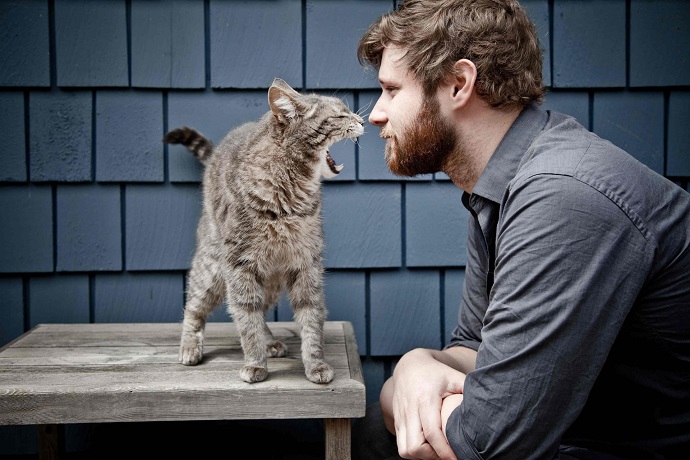 Фото с котом повышает шансы познакомиться – правда или вымысел?