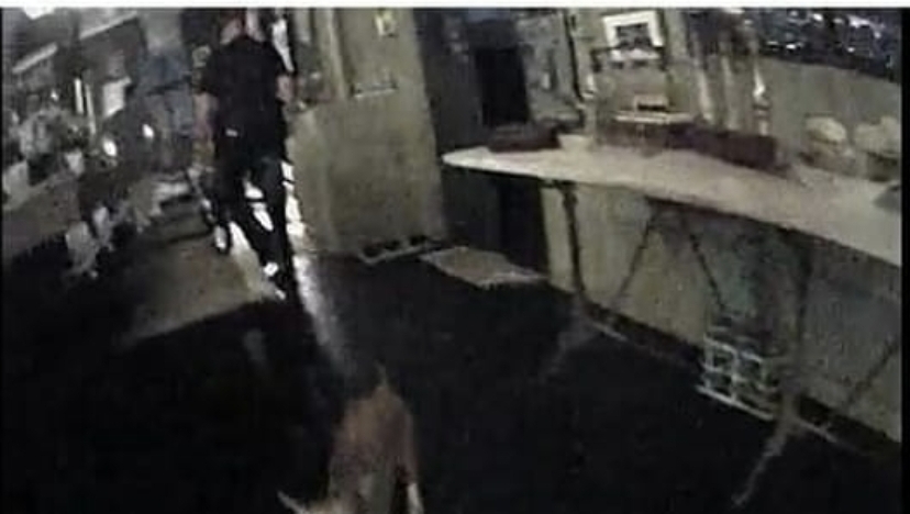 Видеокамеры в квартире Джонни Деппа пролили свет на скандальное заявление Эмбер Херд об избиении