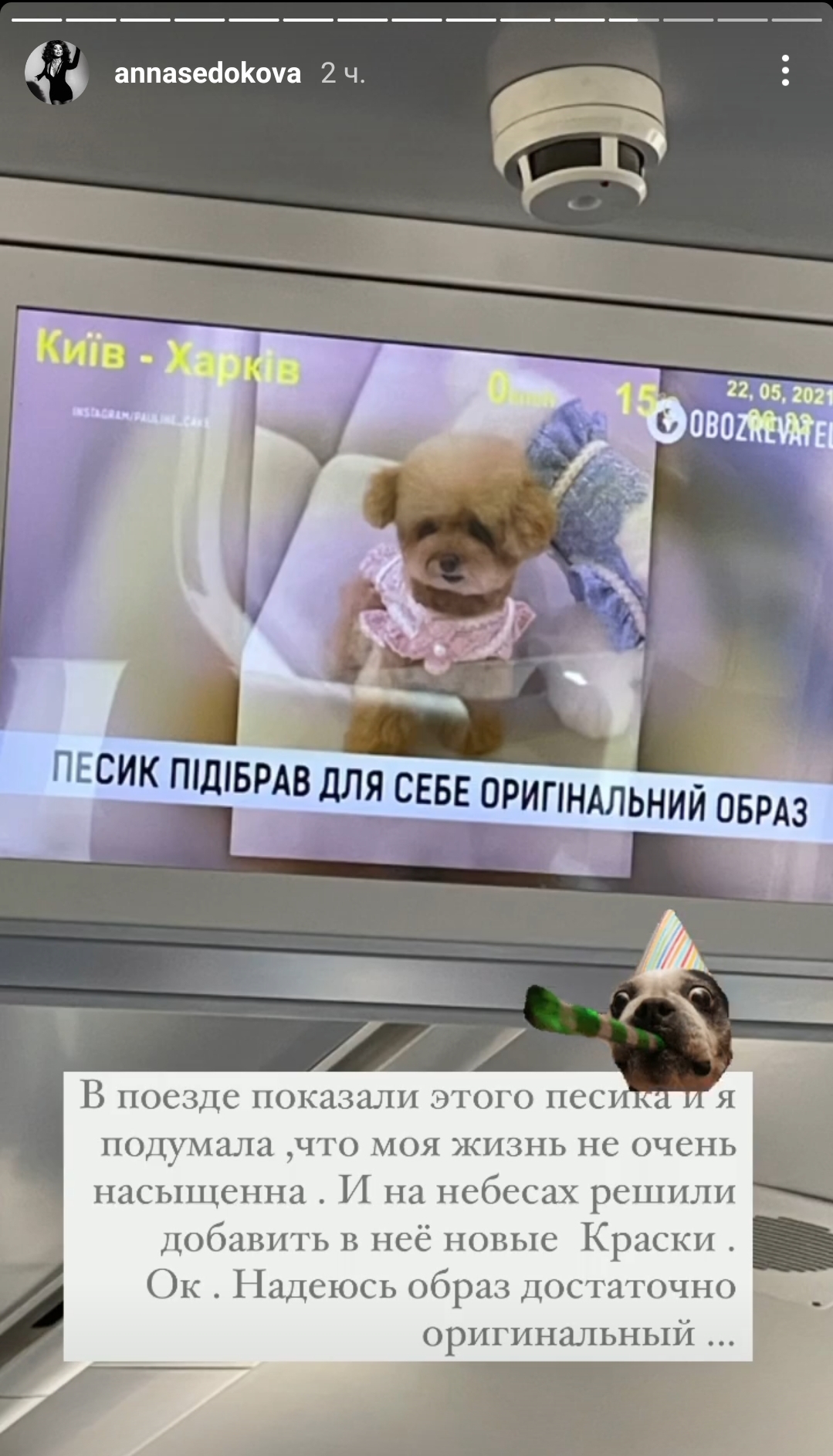Анну Седокову задержали на таможне в аэропорту Шереметьево