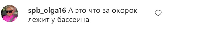 "Окорок у бассейна": в Сети раскритиковали фото Анны Седоковой в мини-бикини