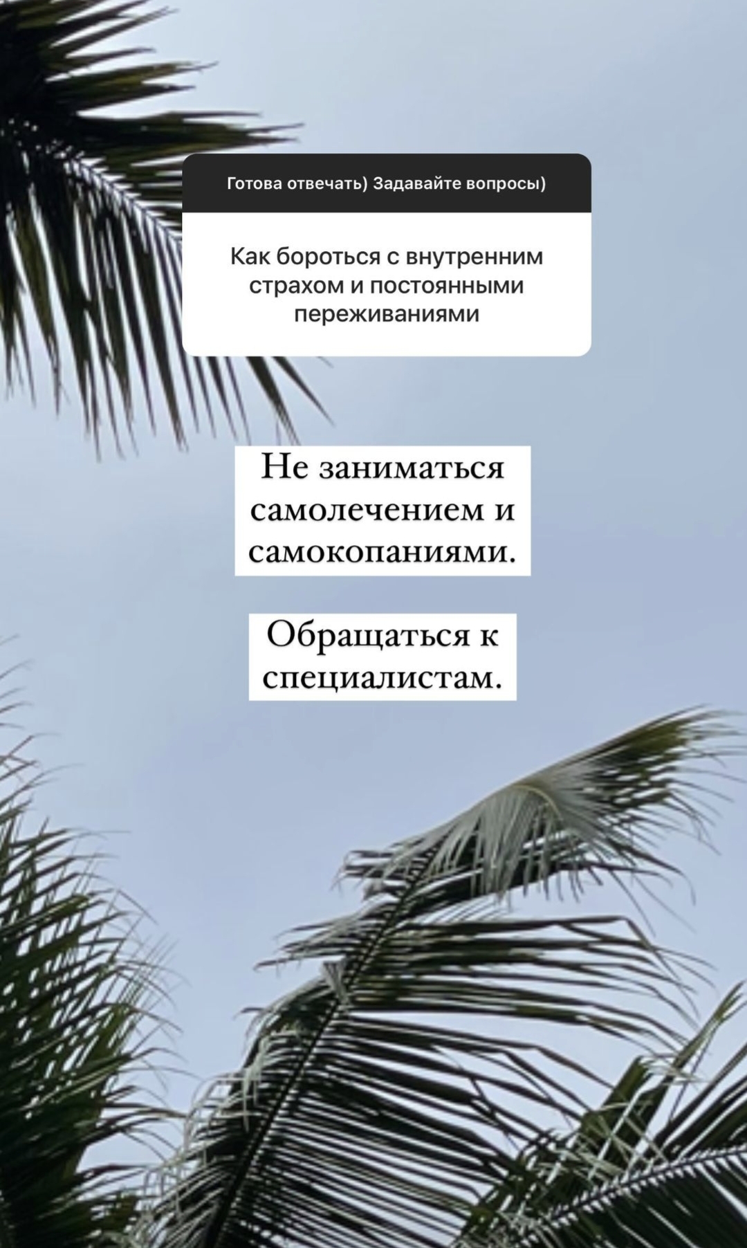 Симона Юнусова с сарказмом высказалась о своей соседке и подруге Тимати Саше Дони