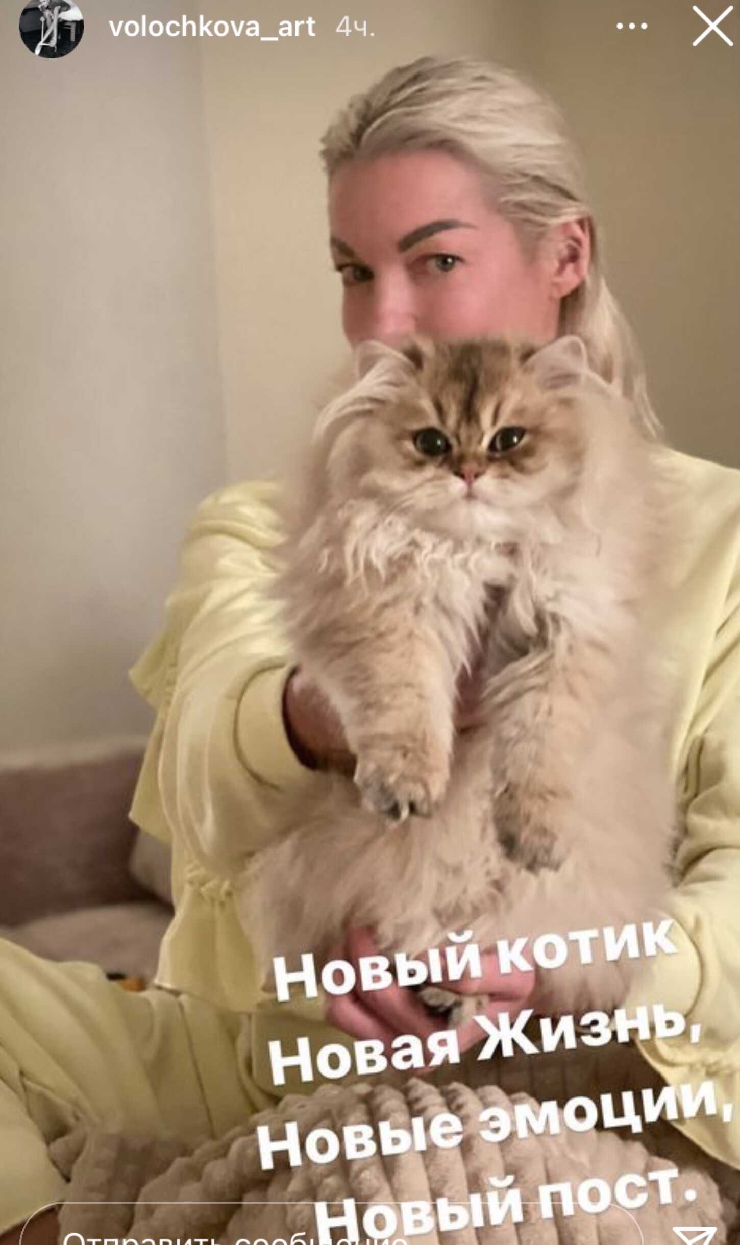 Анастасия Волочкова похвасталась, что купила нового кота за 500 тысяч рублей, но, кажется, её надурили
