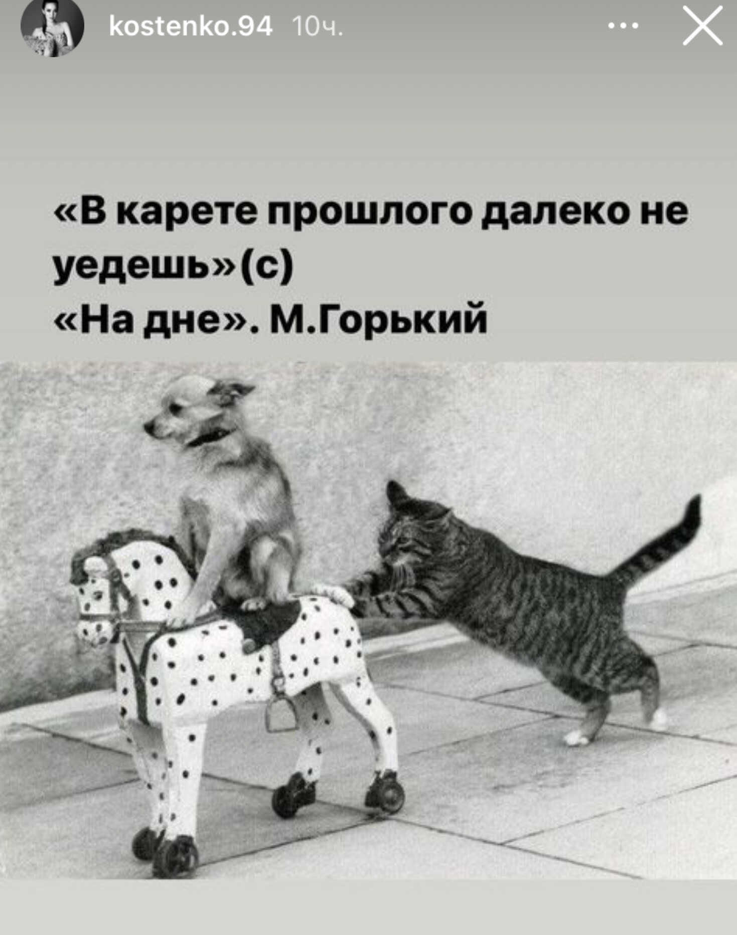 Анастасия Костенко попыталась вступиться за униженного Ольгой Бузовой Дмитрия Тарасова, но ей посоветовали закрыть рот