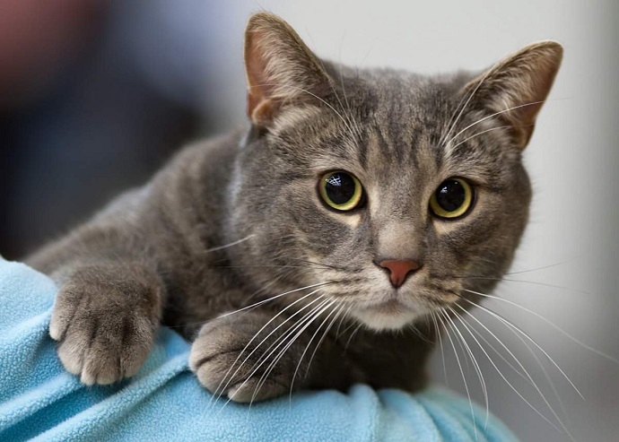 ТОП самых тупых санкций, введенных против России ТОП самых тупых санкций, введенных против России