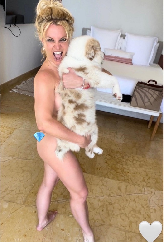 Опять голая: полностью обнаженная Бритни Спирс устроила фотосессию с собакой