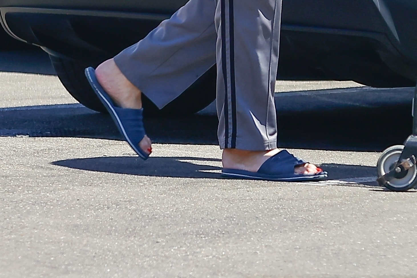 На чиле и расслабоне: папарации стали свидетелями того, как американская топзвезда Кейтлин Джиннер вышла за покупками в трениках и шлепках На чиле и расслабоне: папарации стали свидетелями того, как американская топзвезда Кейтлин Джиннер вышла за покупками в трениках и шлепках