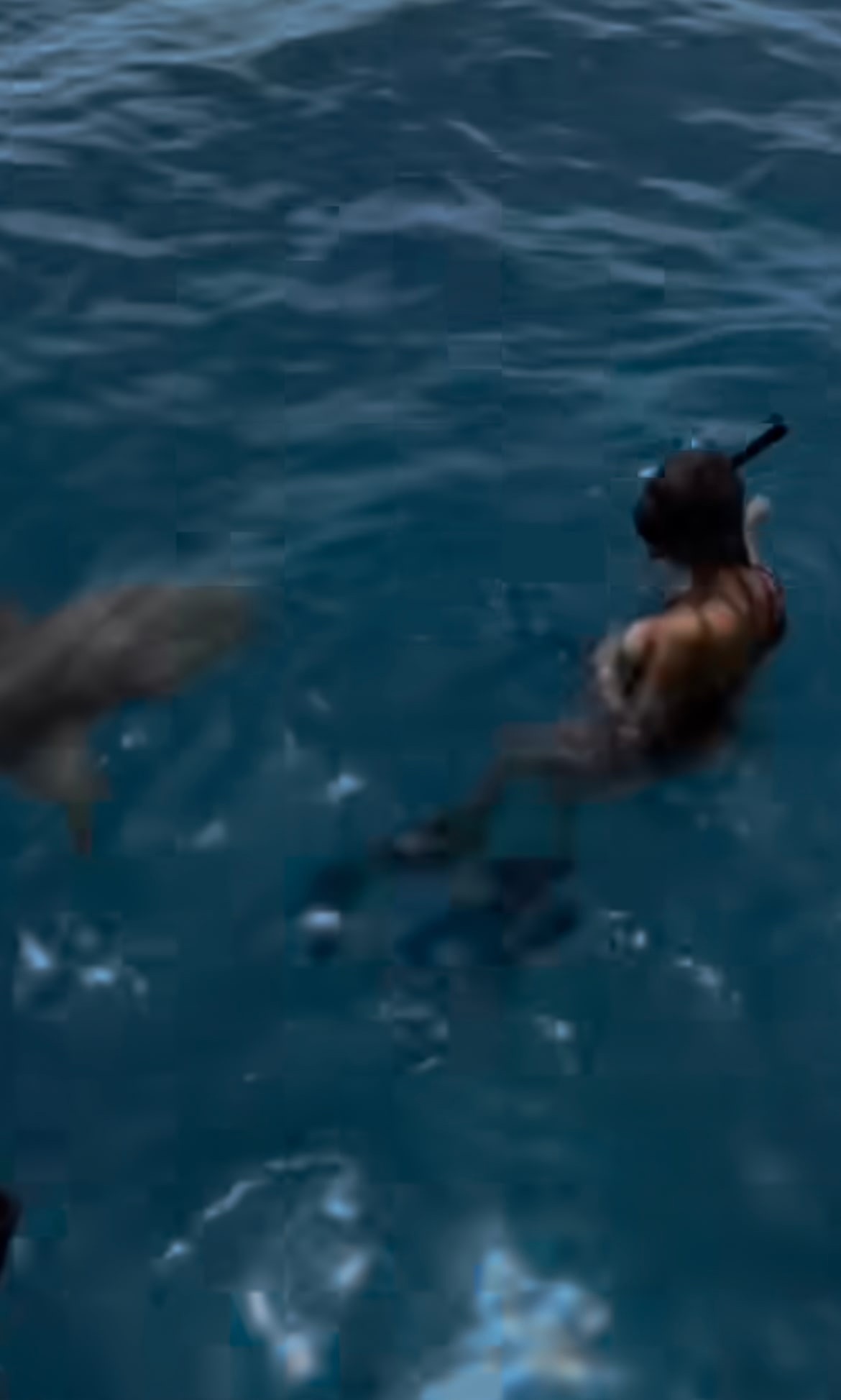 "Чуть не атаковала": Викторию Боню напугала акула
