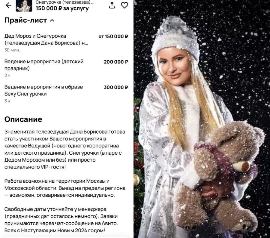 Дана Борисова за 300 000 рублей готова стать вашей секси-снегурочкой. Топ фото Даны Борисовой от секси-танкистки до секси-дачницы
