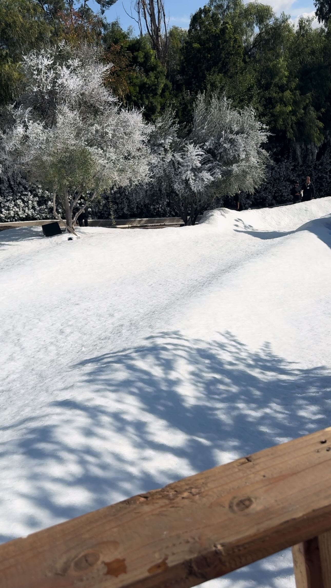 Ким Кардашьян потратила 60 000 долларов, чтобы засыпать свое поместье в Лос Анджелесе искусственным снегом и покататься на санках. Топ фото и видео с места событий